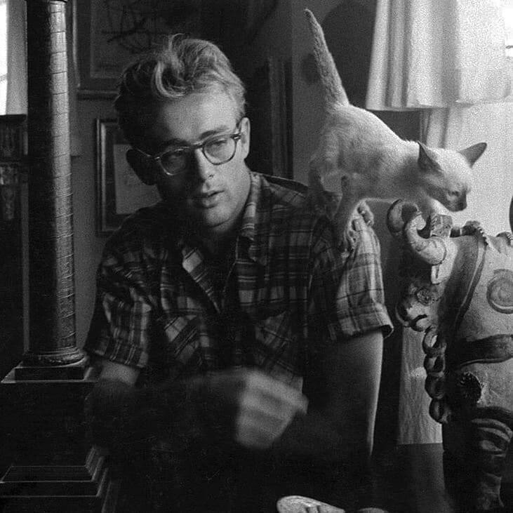 ciapamia's tweet photo. James Dean https://t.co/s38juBj1Pm