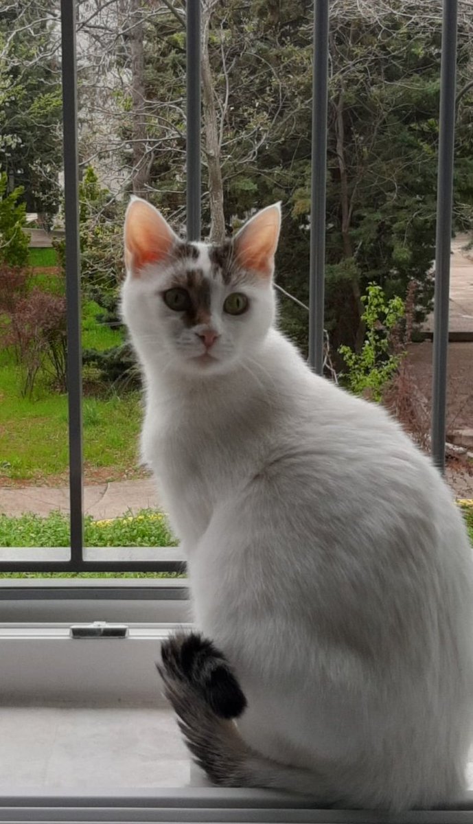 Çok özleyeceğiz sevgili kızımızı...