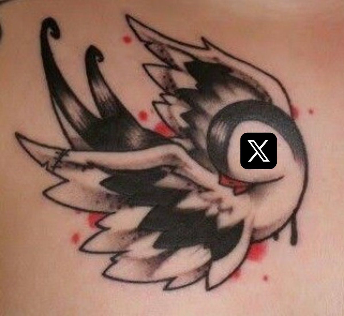 Dual Collections tweet media