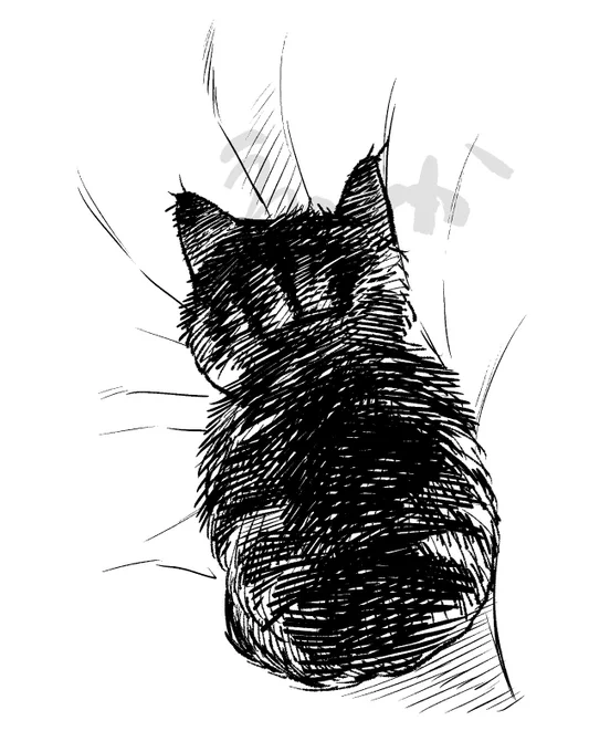 neko 