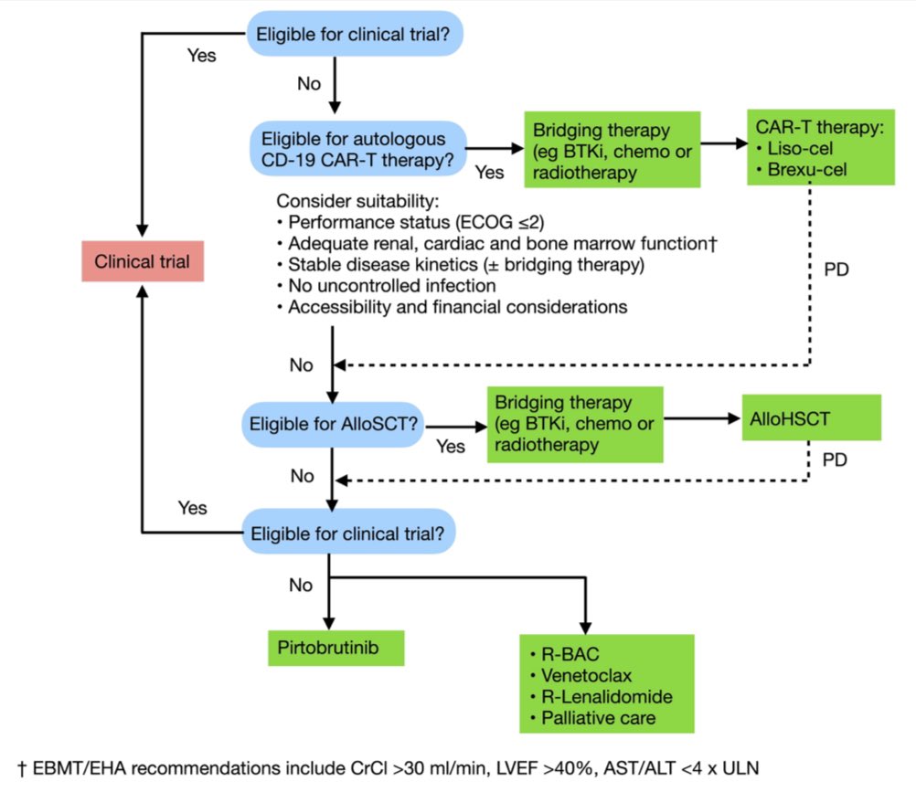 Kudos to my fellow Brian Grainger on this review just out in <a href="/Haematologica/">Haematologica</a>  
We highlight new and emerging data for novel therapeutics in post BTK inhibitor mantle cell lymphoma 
#lymSM <a href="/NMHS_WA/">North Metropolitan Health Service</a> 
Open access link below:
haematologica.org/article/view/1…