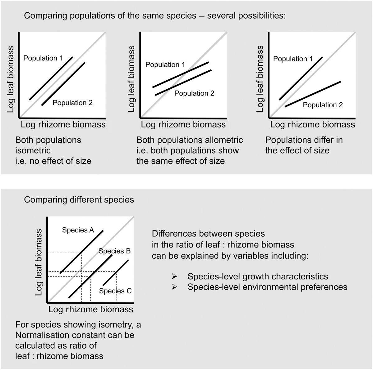 New Phytologist (@newphyt) on Twitter photo Temperate #herbs show a link between flower #phenology and the biomass of rhizomes belowground
Harris et al. <a href="/ExFuMo1/">Go Belowground!</a> <a href="/MiomboAchenes/">Tim Harris</a>
📖 nph.onlinelibrary.wiley.com/share/JSV9GBSI… Temperate #herbs show a link between flower #phenology and the biomass of rhizomes belowground
Harris et al. <a href="/ExFuMo1/">Go Belowground!</a> <a href="/MiomboAchenes/">Tim Harris</a>
📖 nph.onlinelibrary.wiley.com/share/JSV9GBSI…