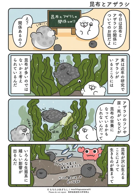 アザラシが昆布を育てているかもしれない..!?( ˙ ꒳ ˙ )
#昆布の日 ⚠️食事中の人はあとで読んでね🦭 
