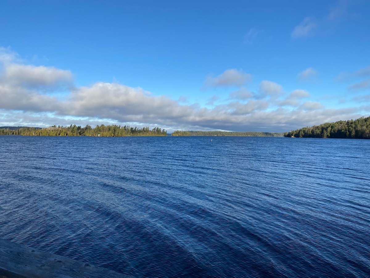 Abram Benedict tweet media