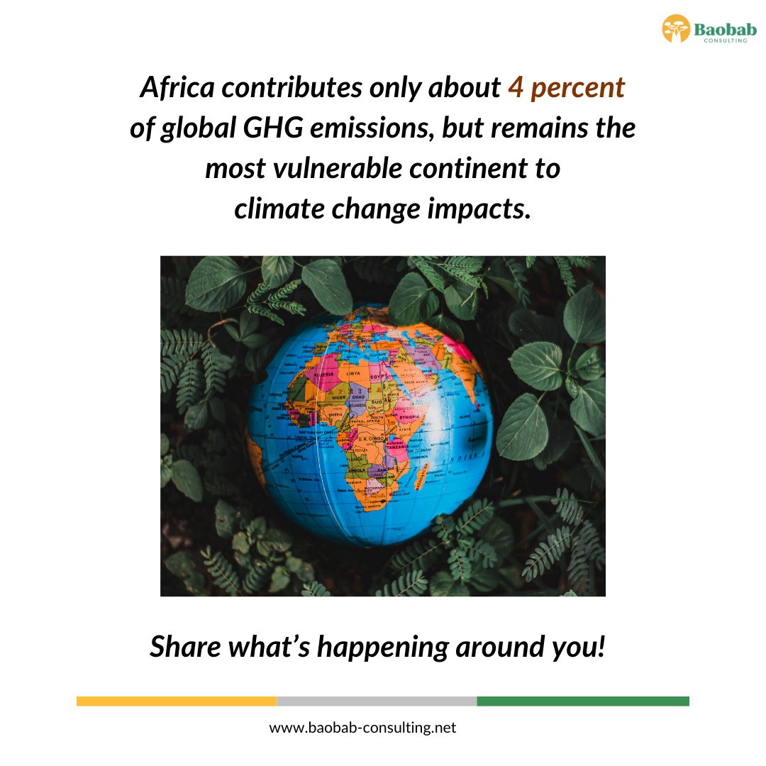 Baobab Consulting tweet media