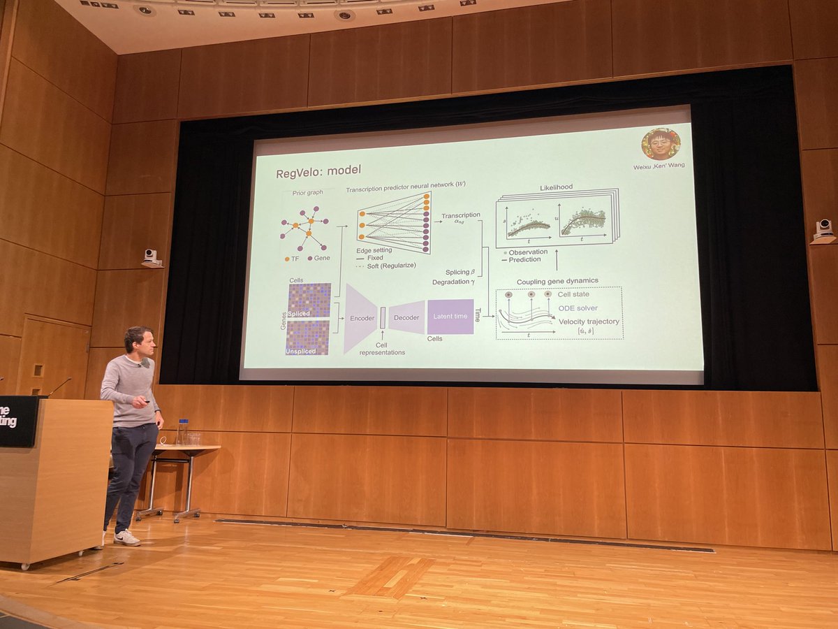 val_boeva's tweet image. Great keynote talk by @fabian_theis at #genomeinformatics24 - now talking about their RegVelo model!