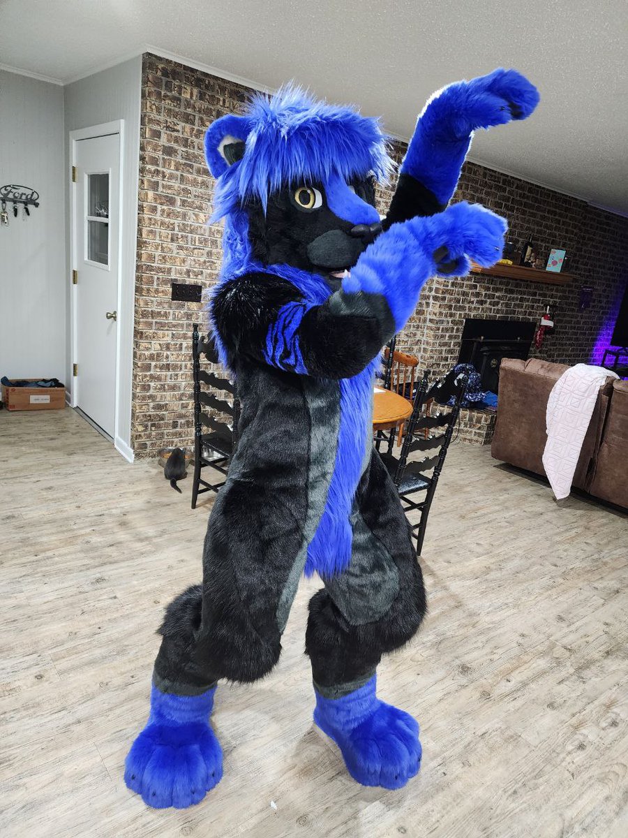 I'm Kodi the  lion, king of New York! 

Yall have a great, and safe day!