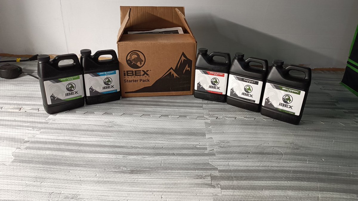 Fatboy Farms (@fatboy_farms) on Twitter photo Shout-out <a href="/iBEX_Nutrition/">iBEX Nutrition</a> I got the starter pack to try on some photos! Packaging is nice, everything fits tight and stays put! I'll keep everyone posted once I start testing this lineup! Shout-out <a href="/iBEX_Nutrition/">iBEX Nutrition</a> I got the starter pack to try on some photos! Packaging is nice, everything fits tight and stays put! I'll keep everyone posted once I start testing this lineup!