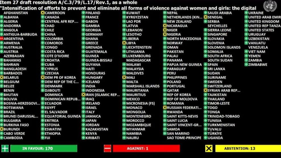 MatiAromi's tweet photo. Encontraron a Sofía Delgado, envuelta en un aislante térmico, en una bolsa de construcción. 20 años tenia. La buscaban hace días. Ayer el Gobierno de Javier Milei voto en la ONU en contra de intensificar los esfuerzos para prevenir y eliminar la violencia contra las mujeres. Fin. https://t.co/OgHHB57Zh5