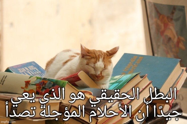 ProtectressofSacredDeer (@asarahincognita) on Twitter photo 