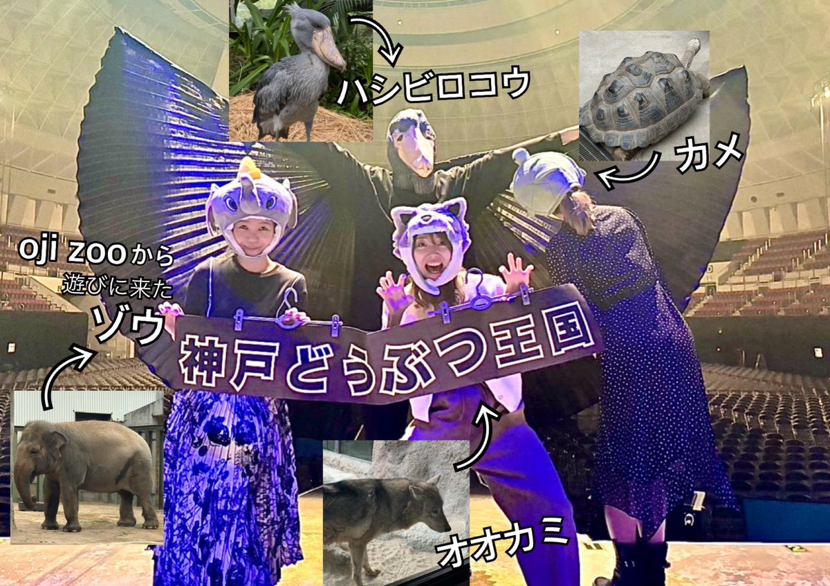 結城貴弘 tweet media