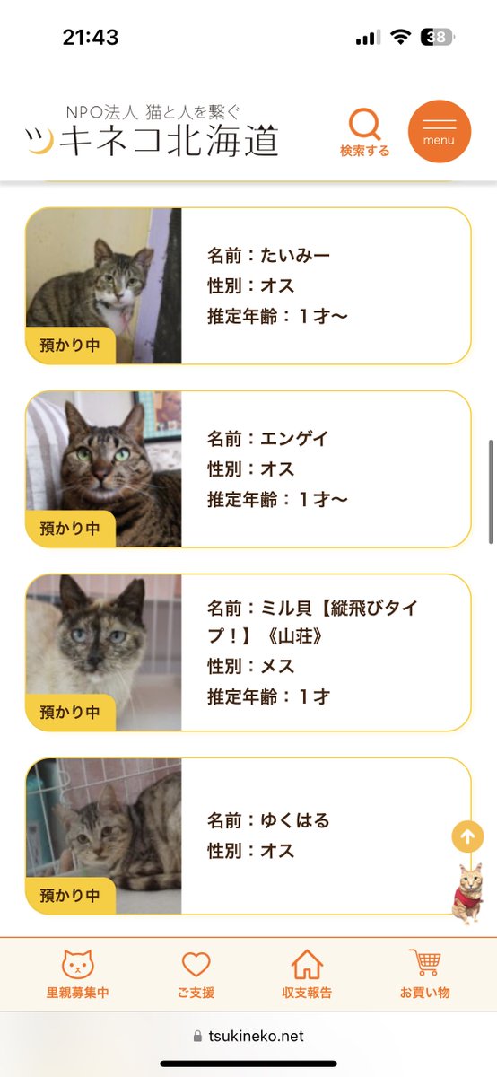 ツキネコ北海道の保護猫ちゃんのネーミングセンスも負けてない