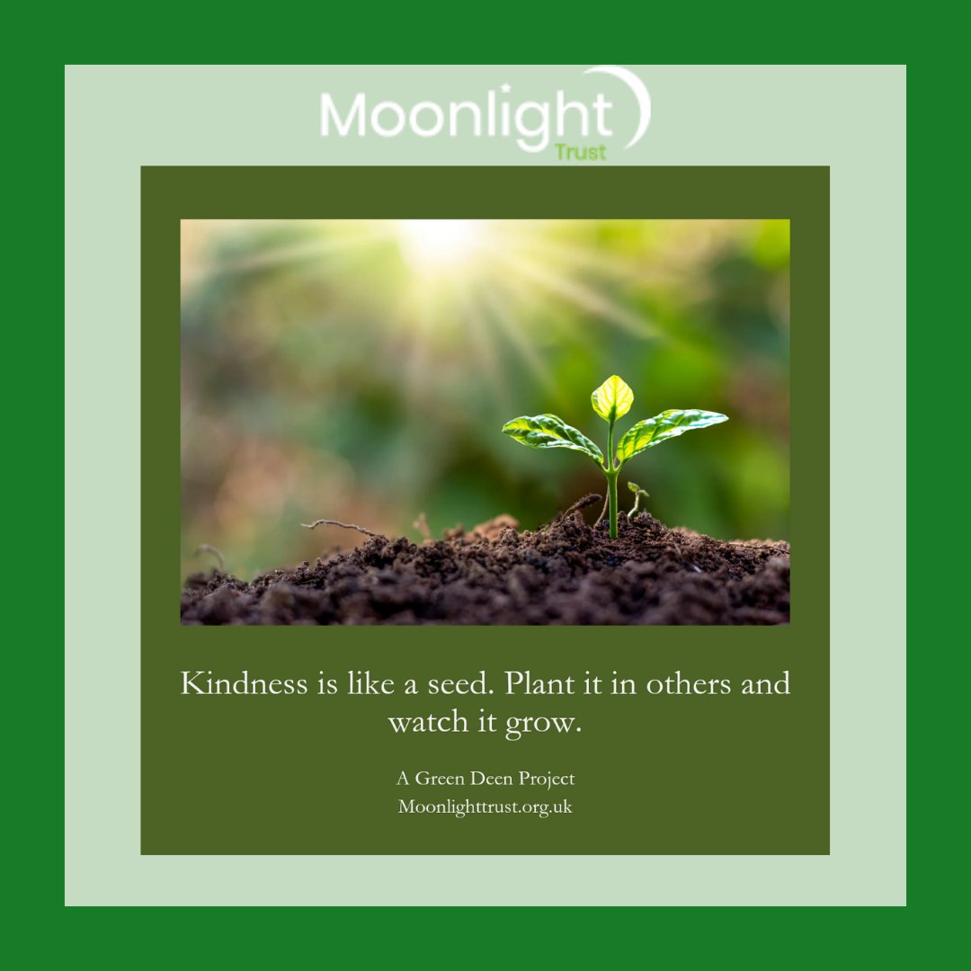 “Plant a Tree Even If It’s the Day of Resurrection” Prophet Muhammad (Peace and Blessings Be upon Him).