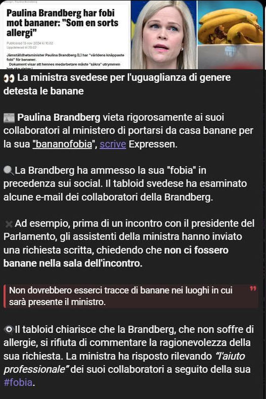 lafionda_com's tweet image. Momento satirico patriarcale.
Alla biondina schierata per l'uguaglianza di genere non piace la banana.
Be', in un certo senso ci sta...
#Svezia #Brandberg #donne #paritàdigenere #banane