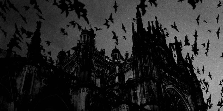 hakaelll's tweet image. 