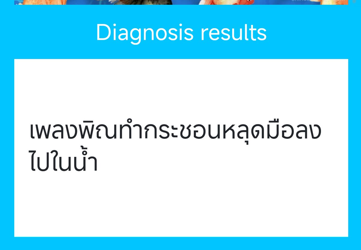 ppplengpin_LWD's tweet photo. /ช่วงนี้เหม่อบ่อย/

/แล้วก็เป็นอีกรอบตอนที่จะช้อนปลา/

"อะ…-"
"โทษที" /ยิ้มจางๆให้คนที่มาด้วยค่อยหันไปหาพี่เจ้าของร้าน

"ขออันใหม่หน่อยค่ะ"

/อยู่ๆก็ขอบตาร้อนขึ้นมาแฮะ/ https://t.co/5xIKSFdoJJ