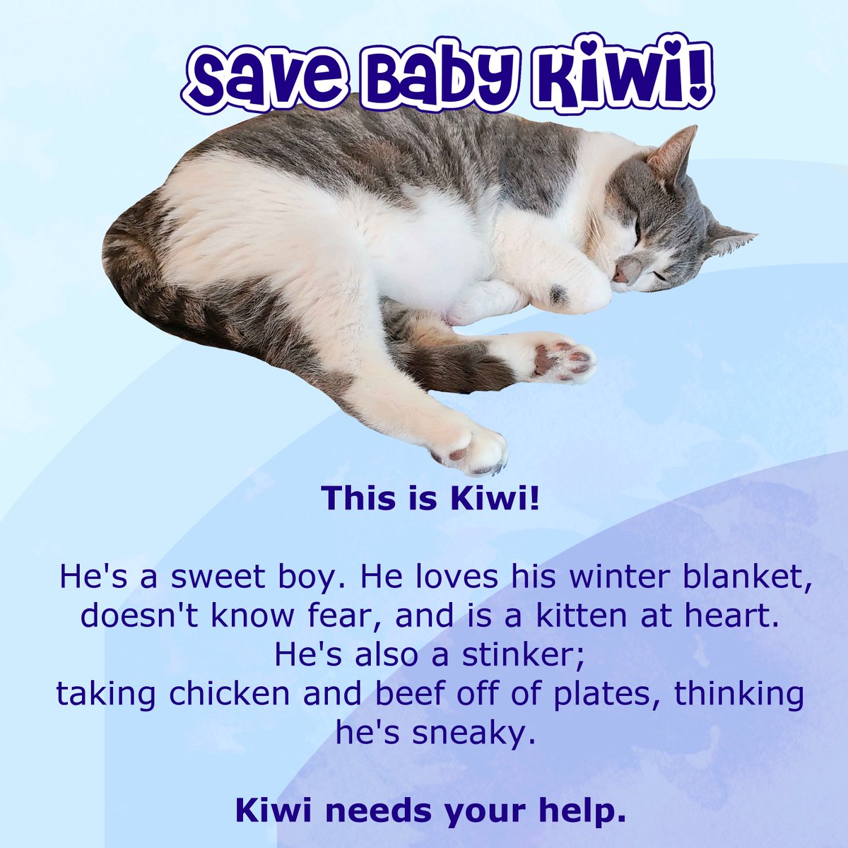 Goooood Morning! Day 5 of #SaveBabyKiwi Train!!

We've reached 53%! Thank you to everyone for all your support! Let's reach 60% Today!!

🚦Stop # 1 with me!

🚂 twitch.tv/luwunna