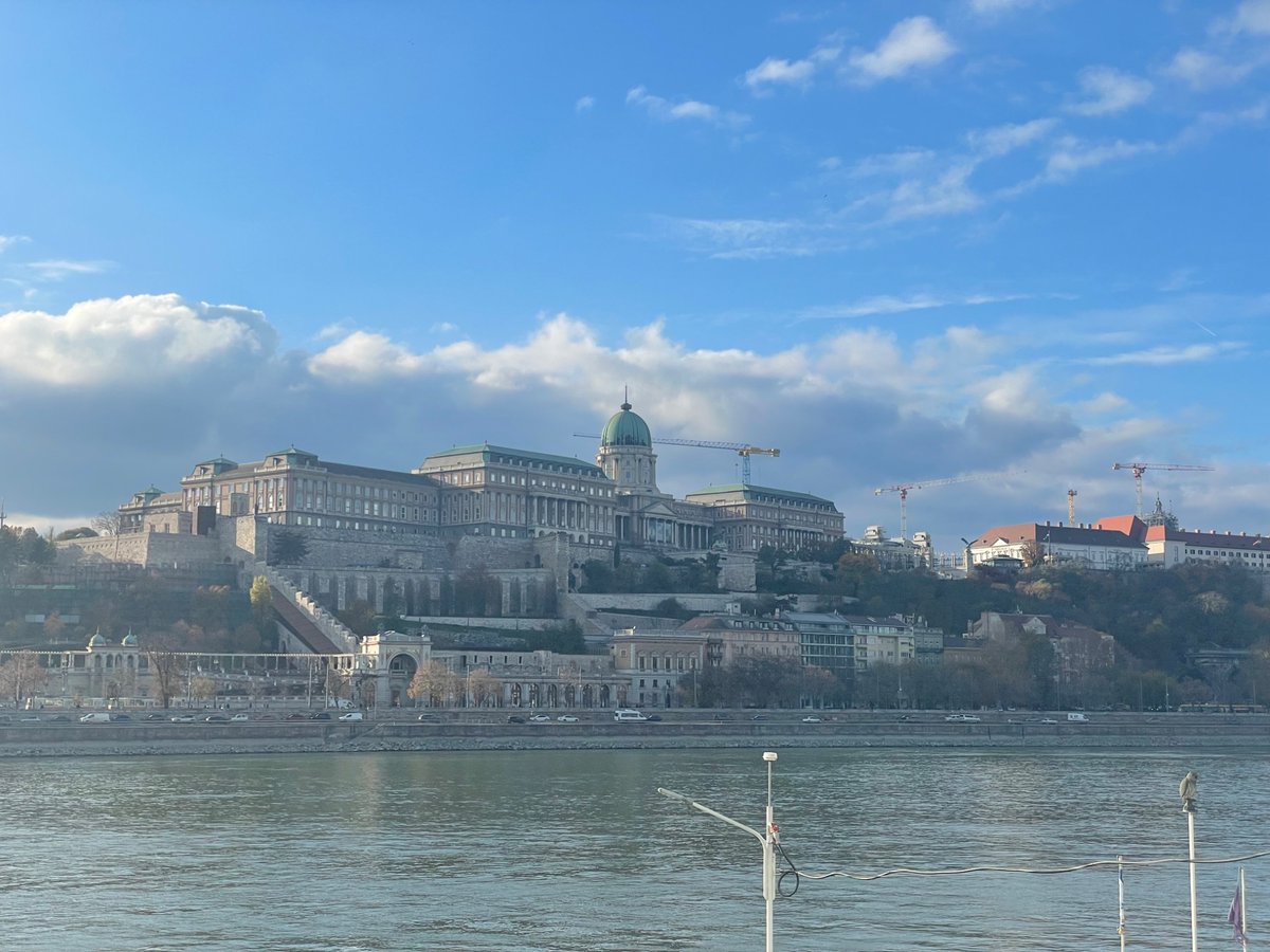 MacKenzie Shirk tweet media