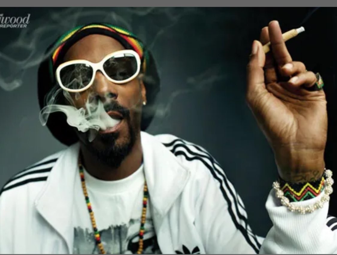 BREAKING: Trump nominates Snoop Dogg to head the Drug Enforcement Agency.