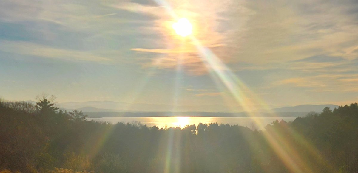 Brian Mann tweet media