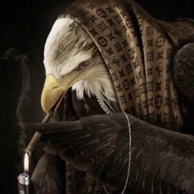 Blaine tweet media
