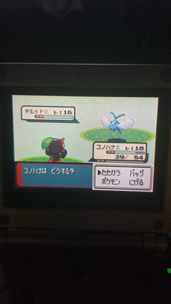 Shiny bashful nuzleaf in 6762 encounters, lowkey freaked out bc it's on my one SP that randomly shuts off with no warning. It lives to see another day