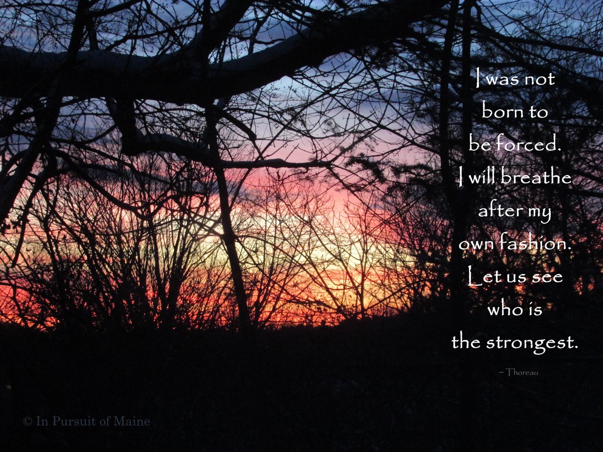 PursuitofMaine's tweet image. Good Morning, friends.  Stand tall.  Cross your arms over your chest.  Refuse to be moved. ♥️

#Indomitable #Freedom #Bravery #BeKind