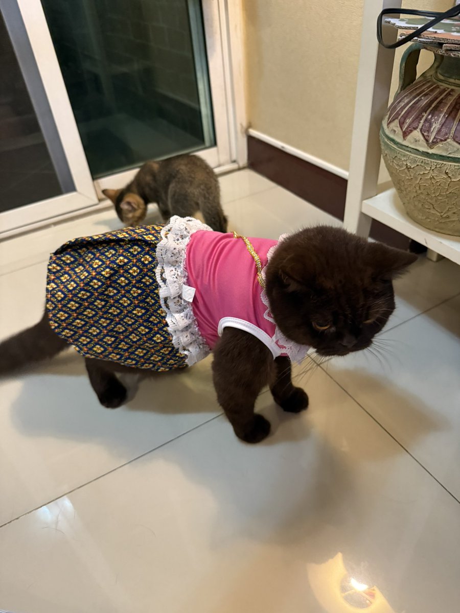 yoojeenoo's tweet photo. หนูน้อยนพมาศ (?!) https://t.co/e1pBW5BMsa