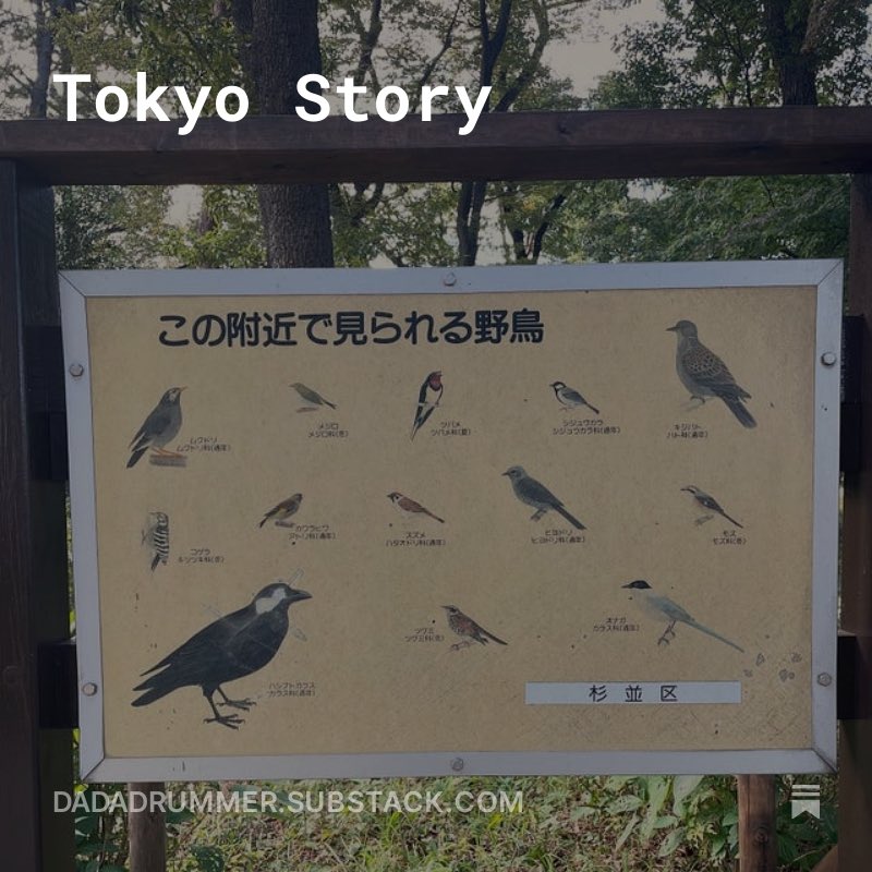[occasional crossposts only here now, follow me on Bluesky for the real deal] Pillow shots/thoughts from the last two weeks dadadrummer.substack.com/p/tokyo-story