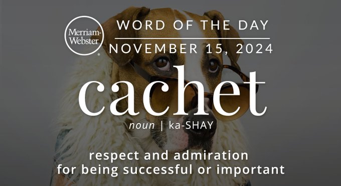 Merriam-Webster Word of the Day November 15, 2024 'cachet' noun | ka-SHAY "respect and admiration for being successful or important Background Image: a dog wearing glasses