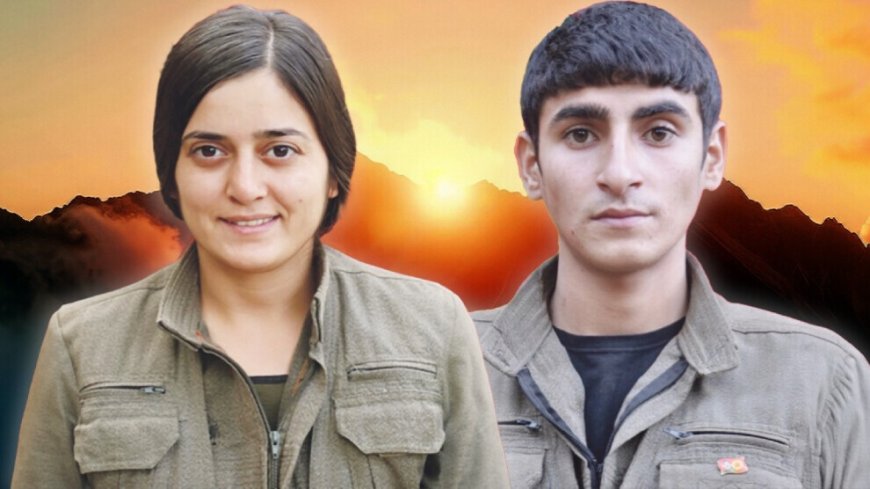 Panina portlatishni beradi