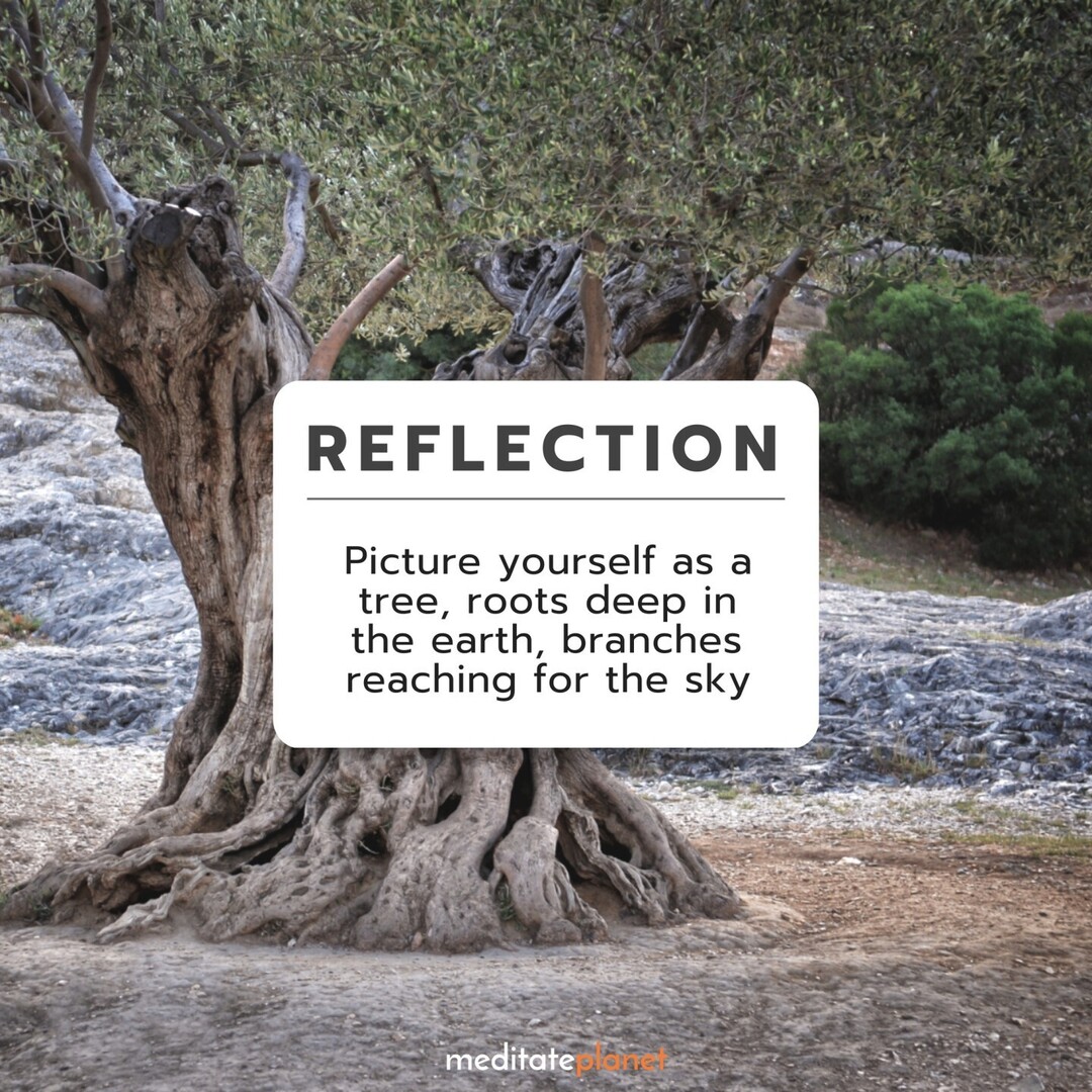 meditateplanet's tweet image. Picture yourself as a tree, roots deep in the earth, branches reaching for the sky.

🌳🧘‍♂️☁️

#Grounding #MindfulVisualization #ZenBalance
