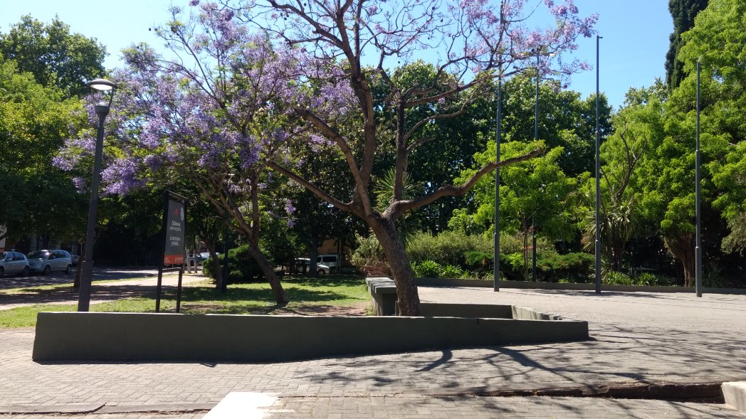 Cristia63969064's tweet photo. Con Ustedes, la Hermosa "Plaza Belgrano" de #Ranelagh, #Berazategui. No pasa ningún #bondi por ahí, pero a unas 4 cuadras te dejan los #MOQSA #Linea159 #LRoja #PuebloNuevo, #Linea603, #Linea300 y #Linea619; también la #Linea418 #UP #UnionPlatense por la #Estacion Ranelagh. https://t.co/lFU9z7LZxV