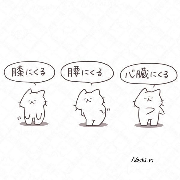 今週も一週間お疲れ様でした!
 #ちびっこしろにゃんずシリーズ 