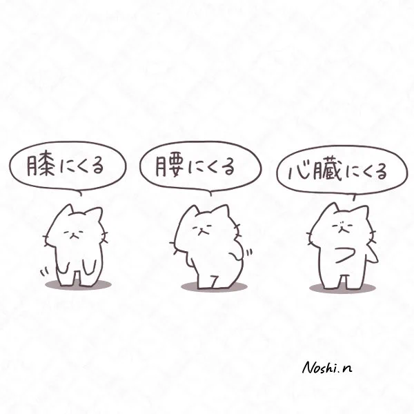 今週も一週間お疲れ様でした!
 #ちびっこしろにゃんずシリーズ 