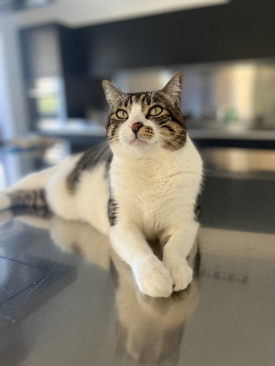superpaperina70's tweet photo. Teo ❤️ Il più bello ❤️ https://t.co/SasIONQMdL