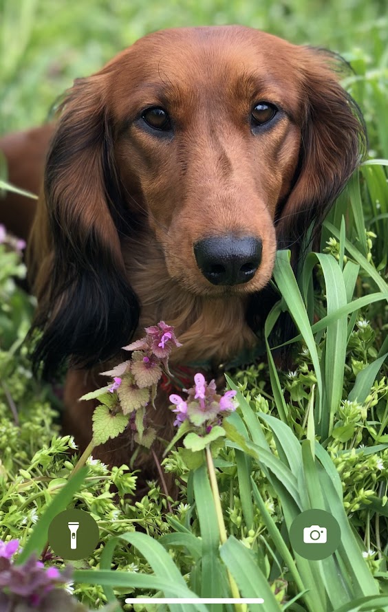 Marcel Kort tweet media