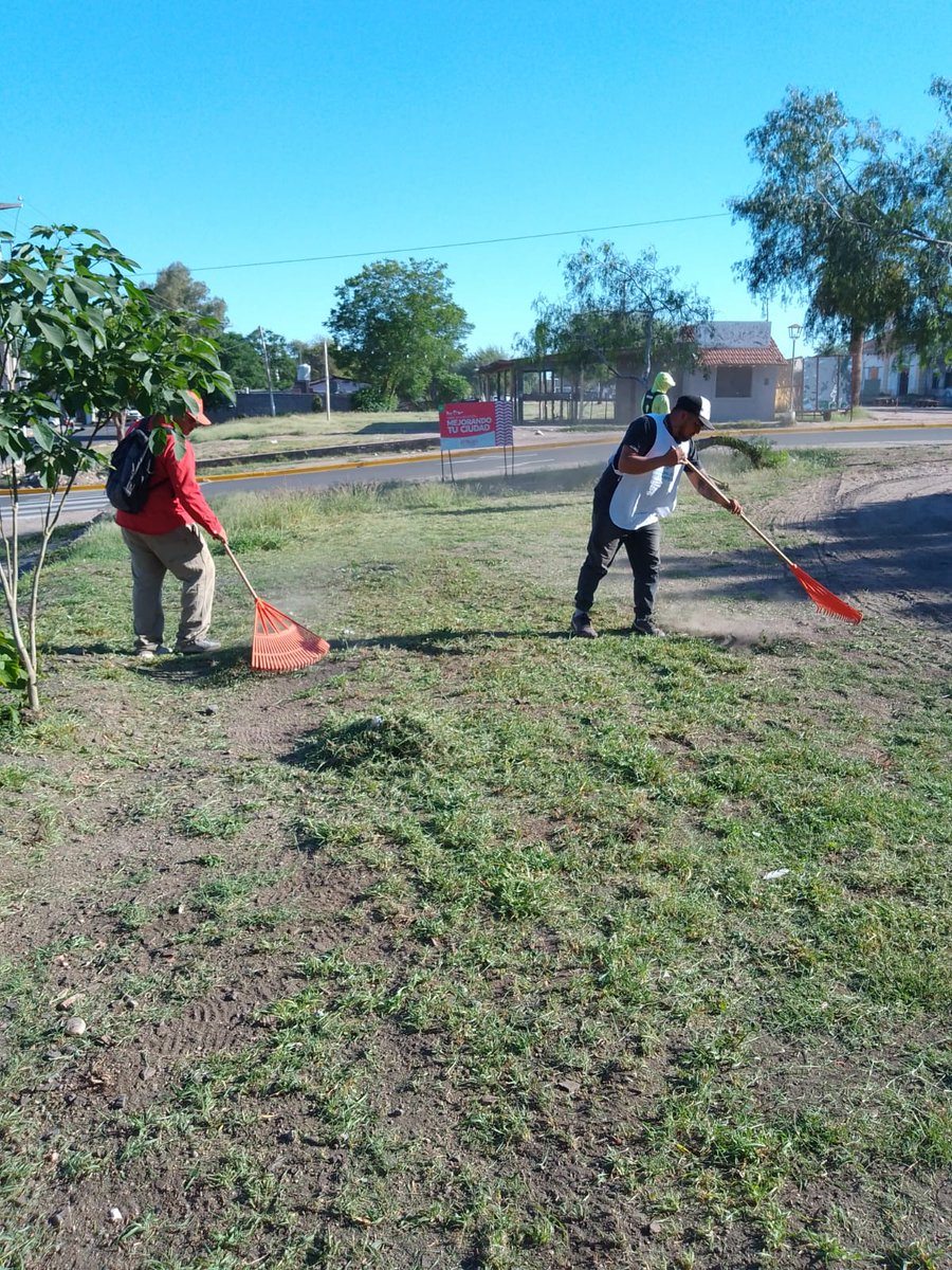 JorgeCeballoslr's tweet photo. 🚧 Trabajando por tu barrio 🧹🌿
Nuestra cuadrilla operativa sigue realizando tareas en el Barrio Hospital: barrido, corte de malezas y levantamiento de montículos.

¡Seguimos avanzando juntos por una ciudad más limpia y ordenada! 💪✨

#GestiónMunicipal #BarrioHospital https://t.co/OdcT7yr19I