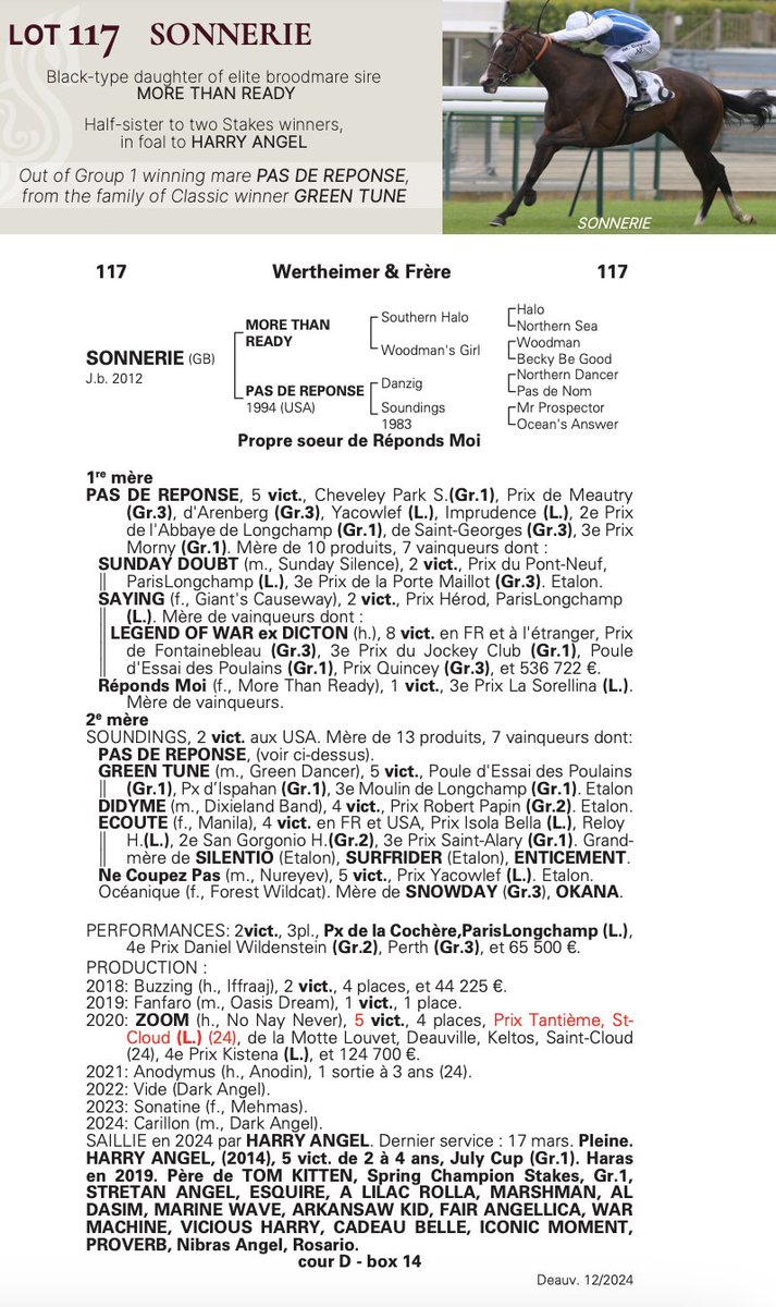 ❄️<a href="/InfoArqana/">ARQANA</a> Vente d’Elevage❄️

𝑆𝑂𝑁𝑁𝐸𝑅𝐼𝐸 (lot 1️⃣1️⃣7️⃣), a black-type daughter of #MoreThanReady, is out of Group 1 winning mare PAS DE REPONSE and from the family of Classic winner GREEN TUNE.

👀Discover her pedigree: tinyurl.com/kpjkdkvt