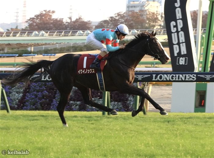 keibalab's tweet image. 【後のG1馬は君だ】
近10年 後にG1馬となった東スポ杯2歳S1着馬
14年サトノクラウン
17年ワグネリアン
18年ニシノデイジー(障害)
19年コントレイル
20年ダノンザキッド
21年イクイノックス
今年、出世レースを制するのは…？
#東京スポーツ杯2歳S 
keibalab.jp/db/race/202411…