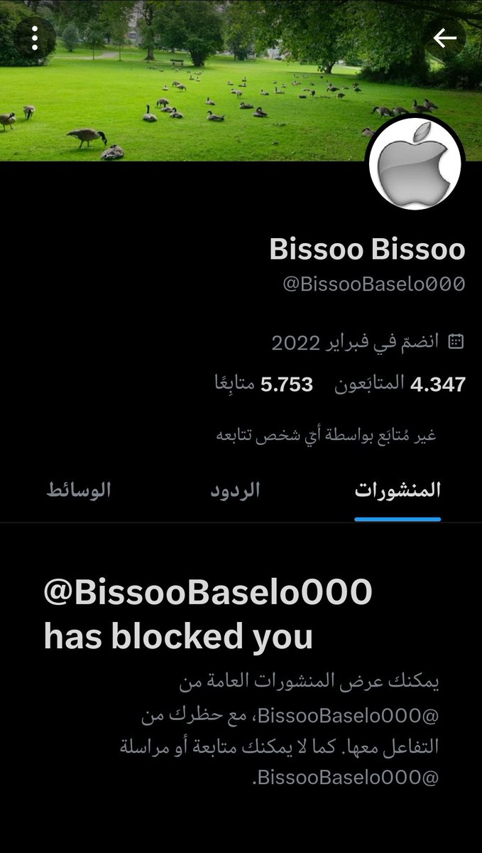 Libdawe Ly tweet media