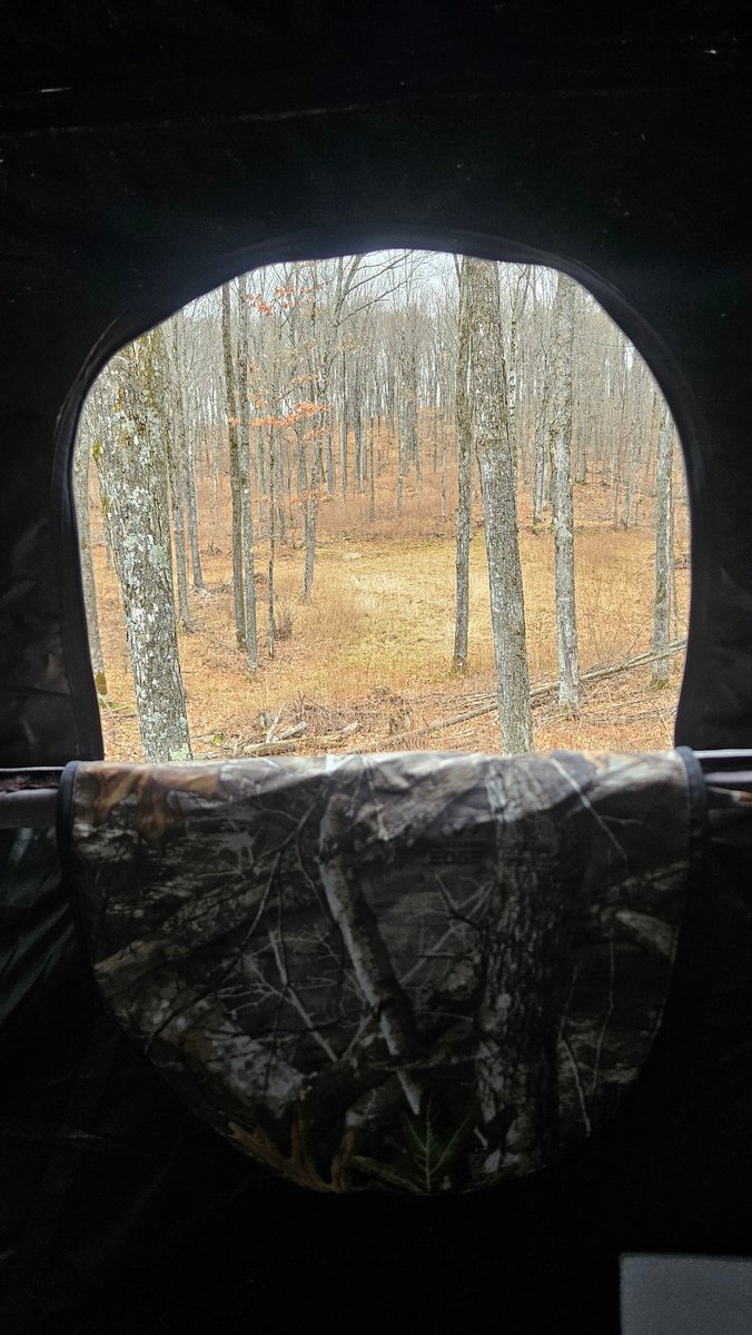Brazzy70's tweet photo. Nice opening day but no deer #DAUP https://t.co/5gFJzGMQh2