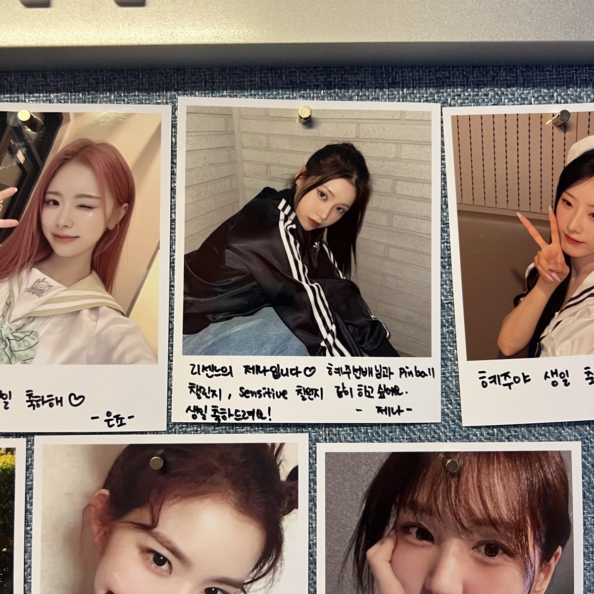 젠빵 tweet media