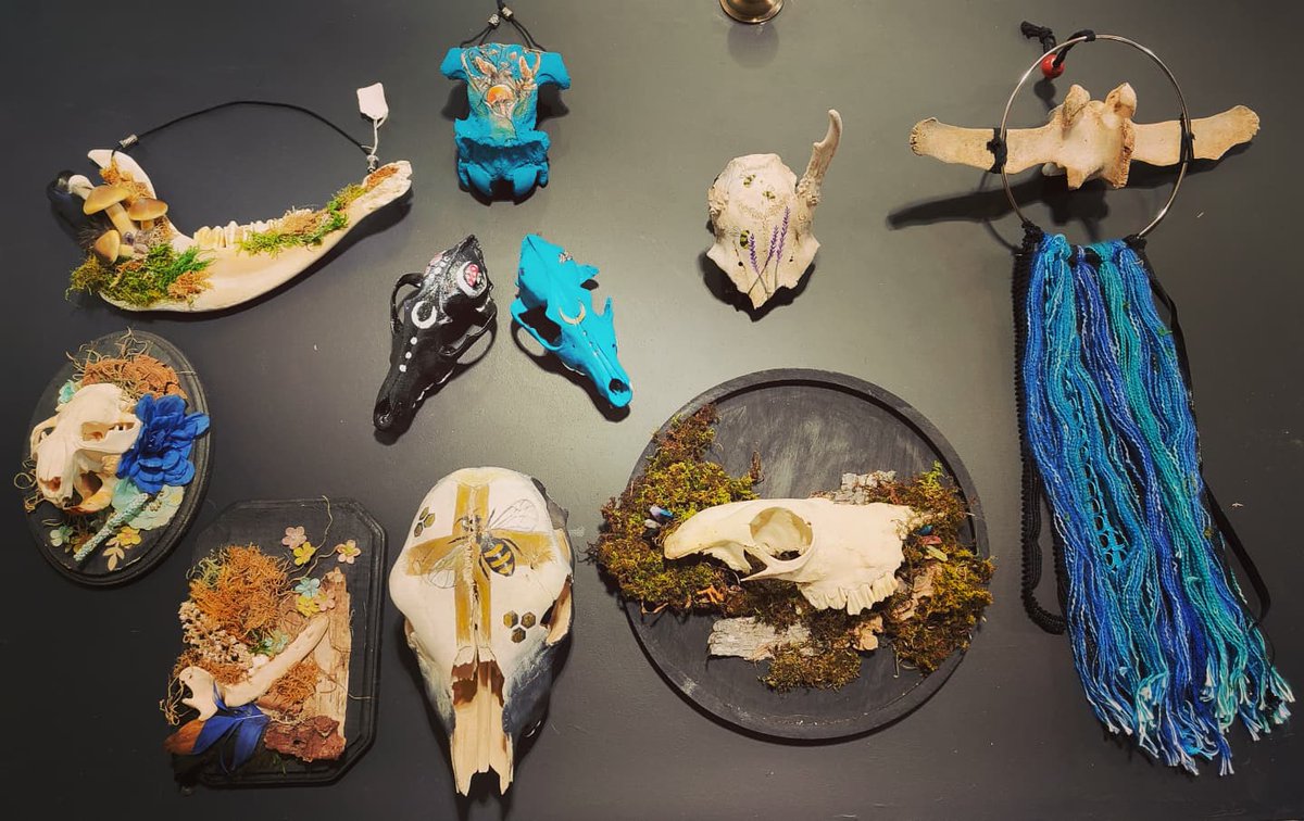 The Whole Field: Why Consider Hunting? Photo Credit—Tiffany Jones, the Farming Artist - mailchi.mp/crosshatch/cro…