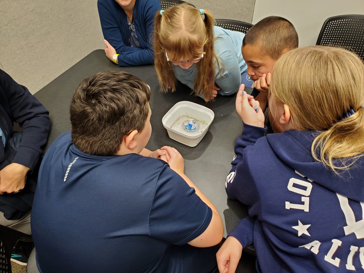 Lafayette Meadows tweet media