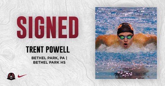 IUP Swimming & Diving tweet media