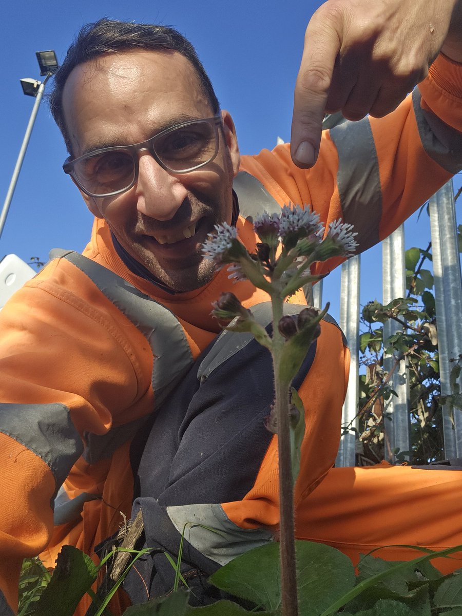 Jamie warren tweet media