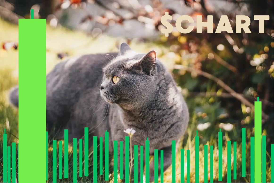 kungfuSOL tweet media