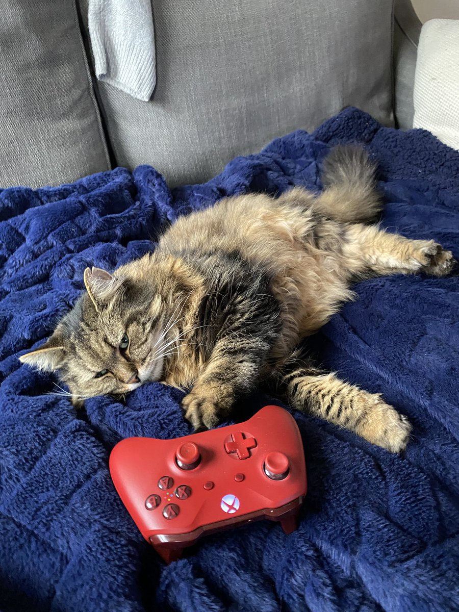 Fuck it Flat Fuck Friday <a href="/goodgirljuliee/">julie 🦩🍩🌟</a> #flatfuckfriday #fff #CatsOfTwitter