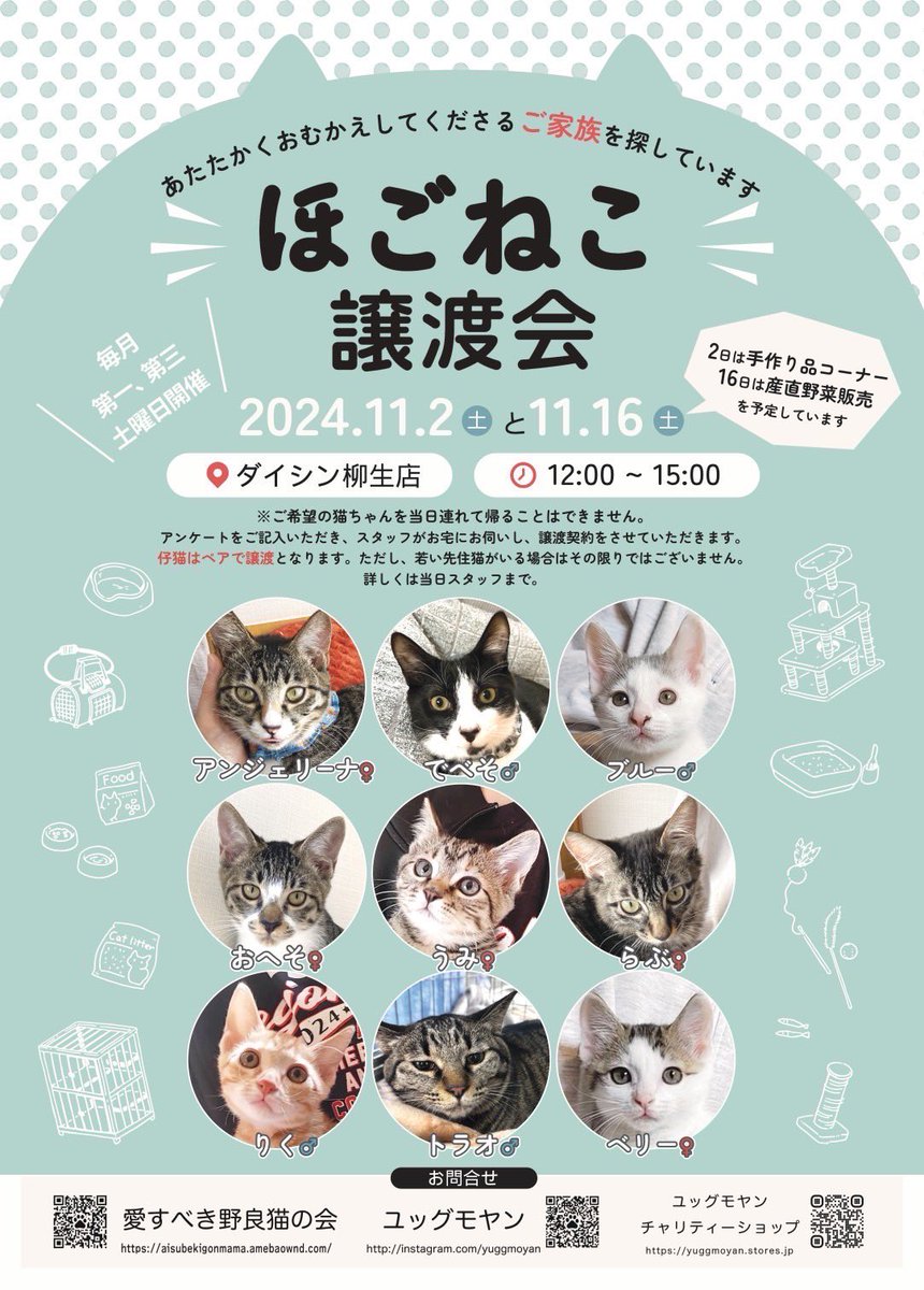yugg_moyan's tweet photo. ‼️明日は‼️ 
　
『ほごねこ譲渡会』です☀️☀️☀️ 
　
ダイシン柳生店　
12:00〜15:00 
 
寒くなってきましたね。　
猫たちは団子になったり　走り回ったり　
私に登ってきたり、、、

可愛い子たちに会いに来てくださいね🥰　
　
地元野菜の販売もあります！

お待ちしています。 https://t.co/2iVTwX6ZLW